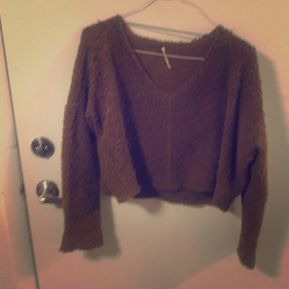 Free people sweater